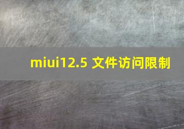 miui12.5 文件访问限制